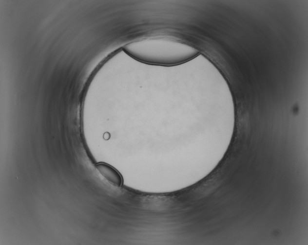 X0000115791092200912241826