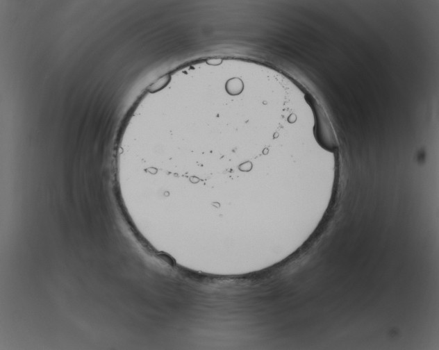 X0000115791093200912241826
