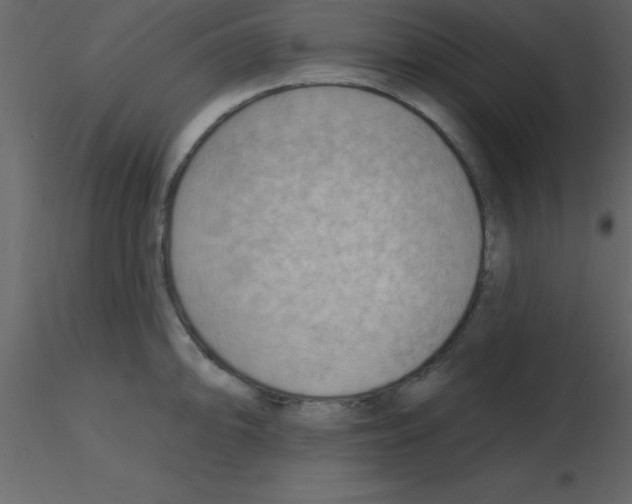 X0000115791094200912241826