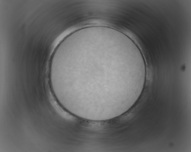 X0000115791098200912241826