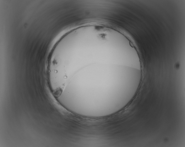 X0000115791099200912241826