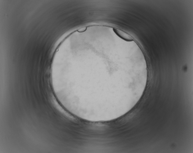 X0000115791100200912241826