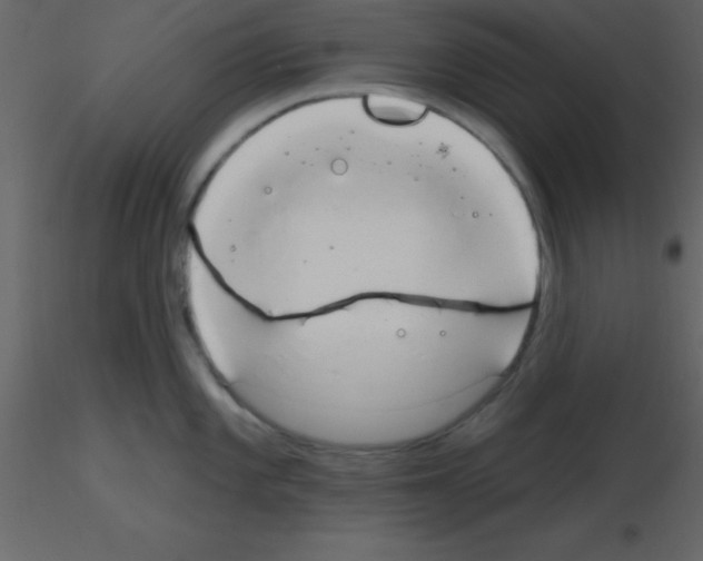 X0000115791101200912241826