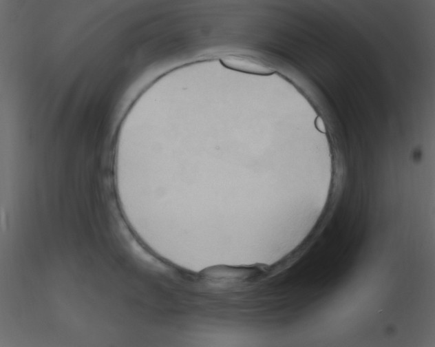 X0000115791102200912241826