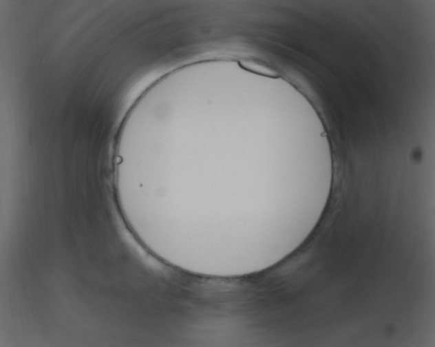 X0000115791103200912241826