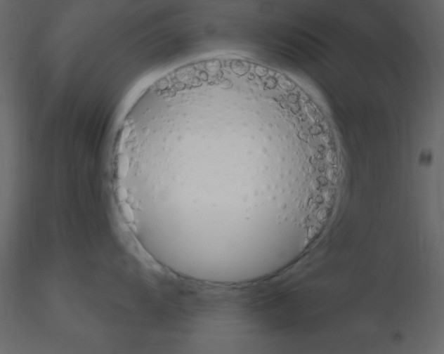 X0000115791104200912241826