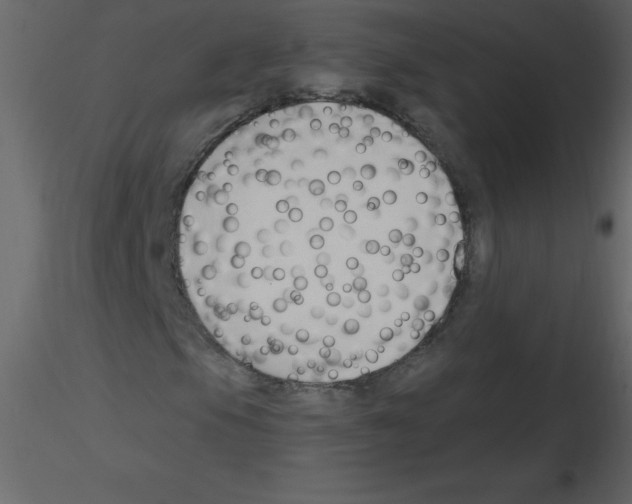 X0000115791105200912241826