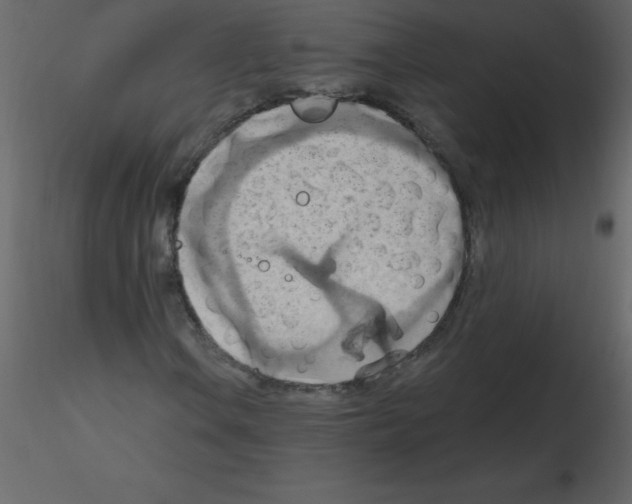 X0000115791106200912241826