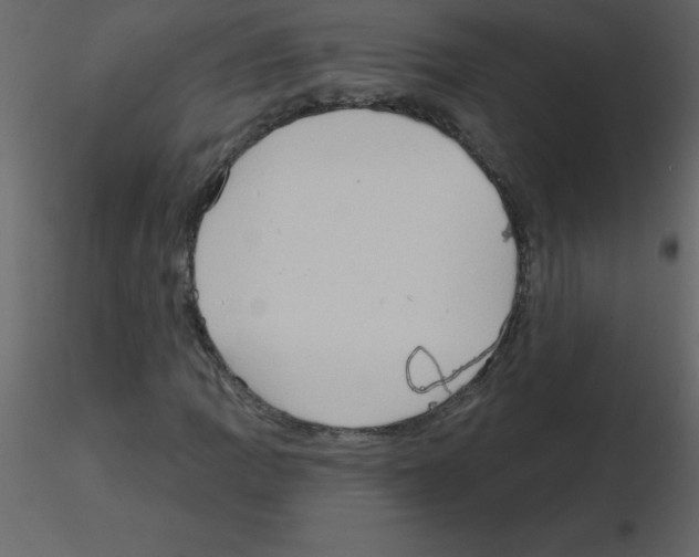 X0000115791109200912241826