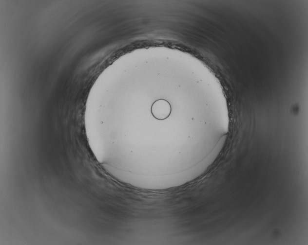 X0000115791110200912241826