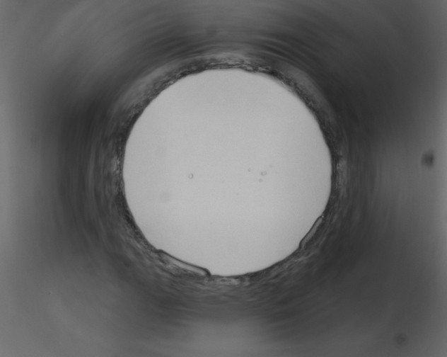 X0000115791111200912241826