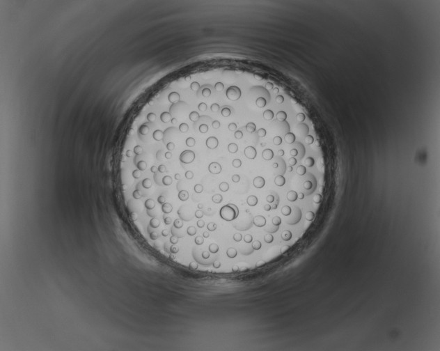 X0000115791113200912241826