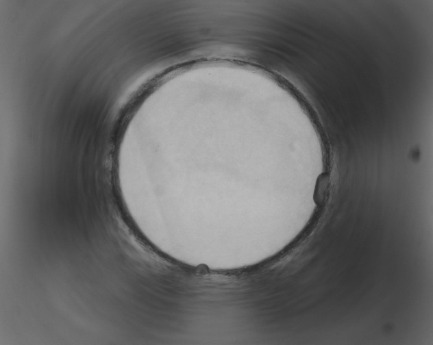 X0000115791115200912241826