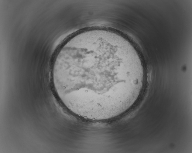 X0000115791117200912241826