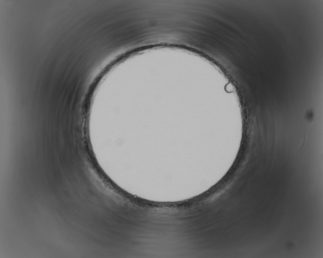X0000115791118200912241826