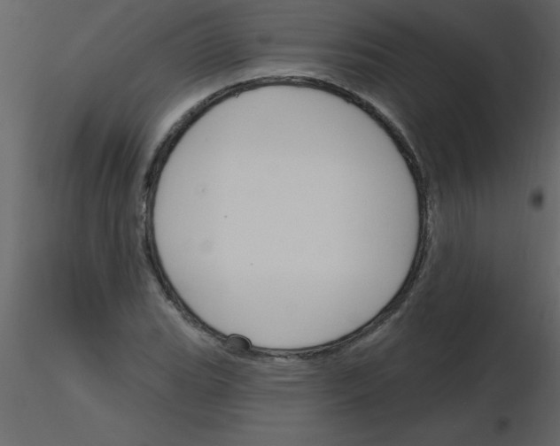 X0000115791119200912241826