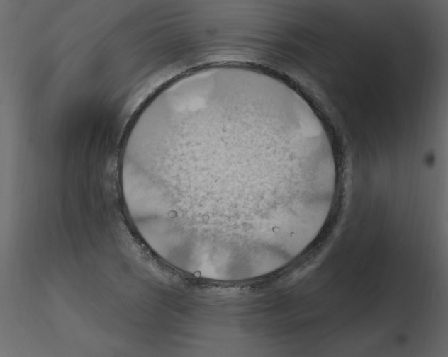 X0000115791121200912241826