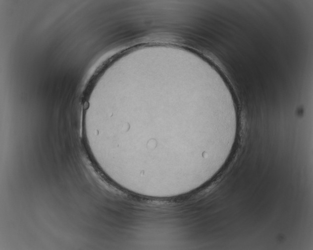 X0000115791123200912241826