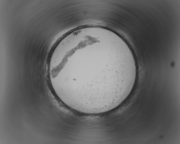 X0000115791125200912241826