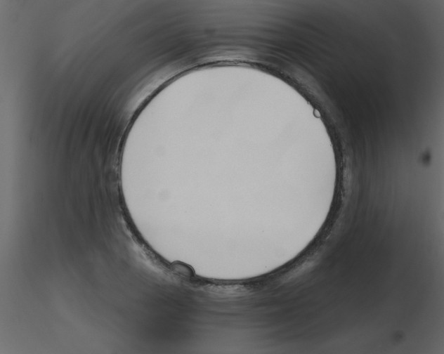 X0000115791129200912241826