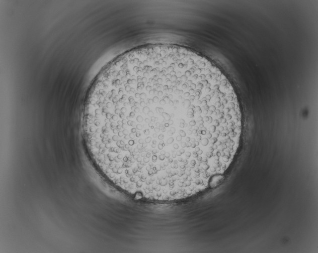 X0000115791130200912241826