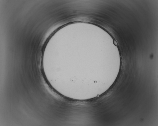 X0000115791131200912241826