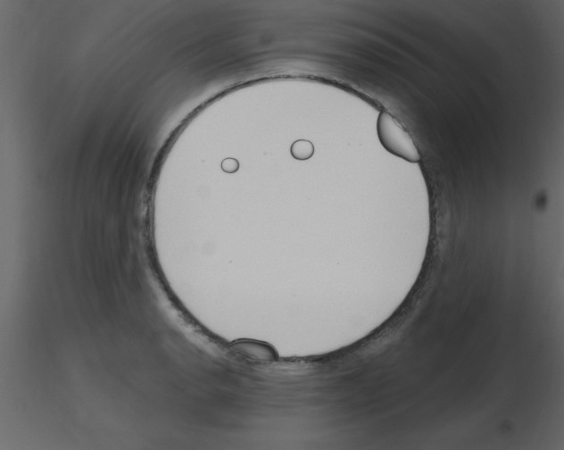 X0000115791134200912241826