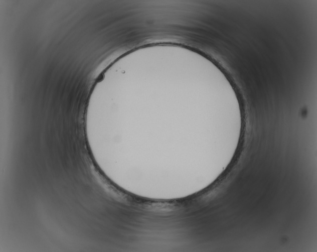 X0000115791137200912241826