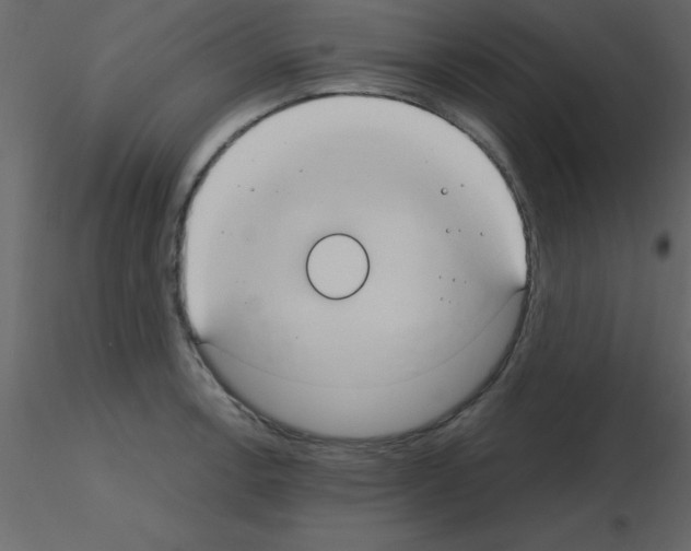 X0000115791138200912241826