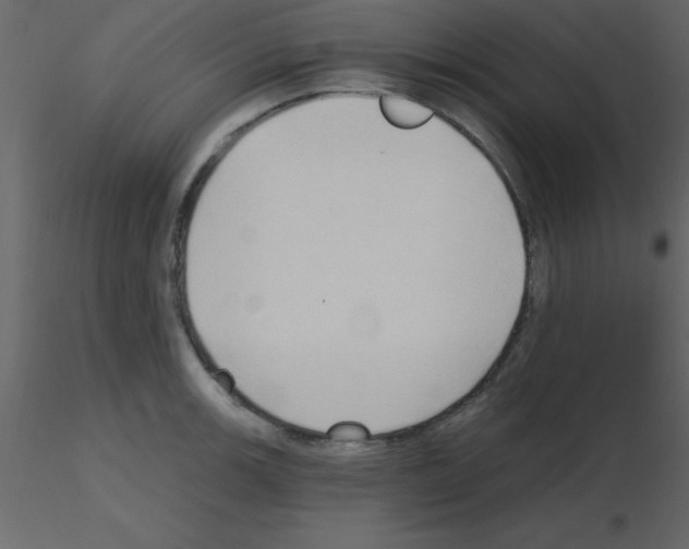 X0000115791139200912241826