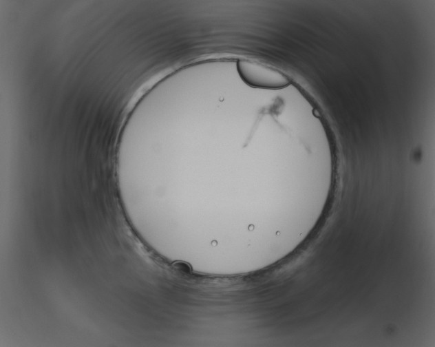 X0000115791145200912241826