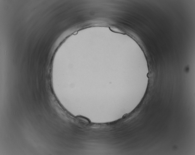 X0000115791146200912241826