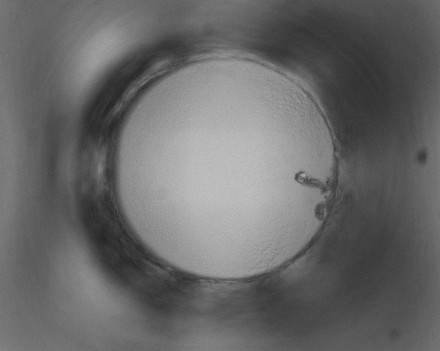 X0000115791150200912241826