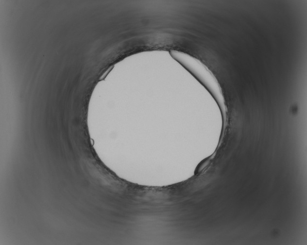 X0000115791153200912241826