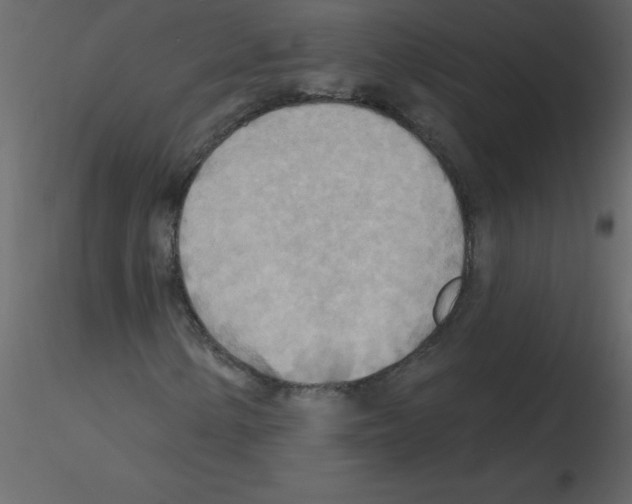 X0000115791154200912241825