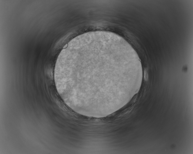 X0000115791155200912241825