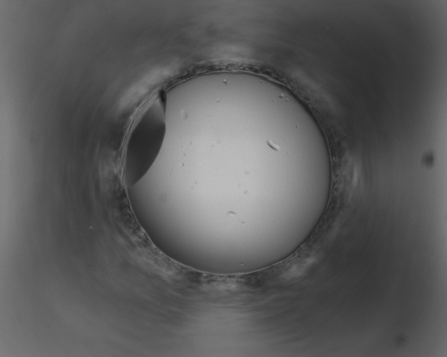 X0000115791157200912241825