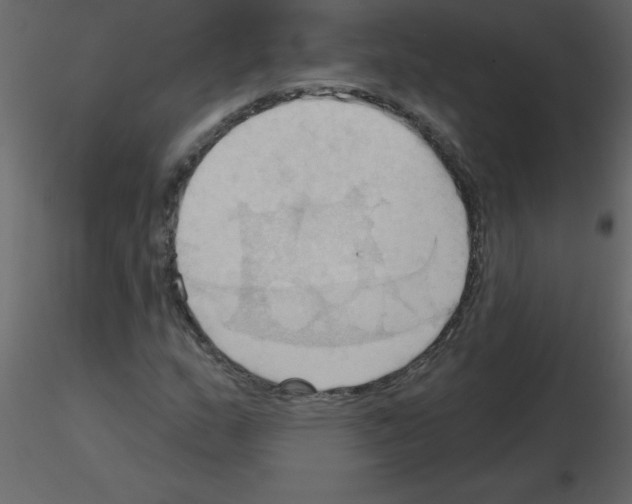 X0000115791159200912241825