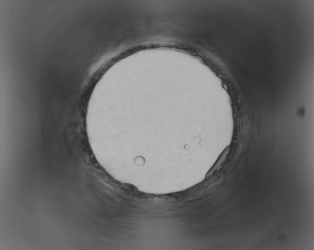 X0000115791160200912241825