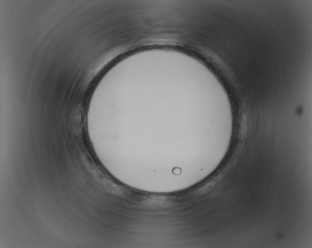 X0000115791162200912241825