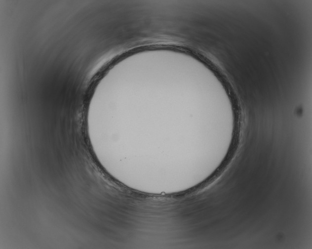 X0000115791163200912241825