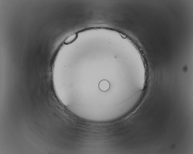 X0000115791167200912241825