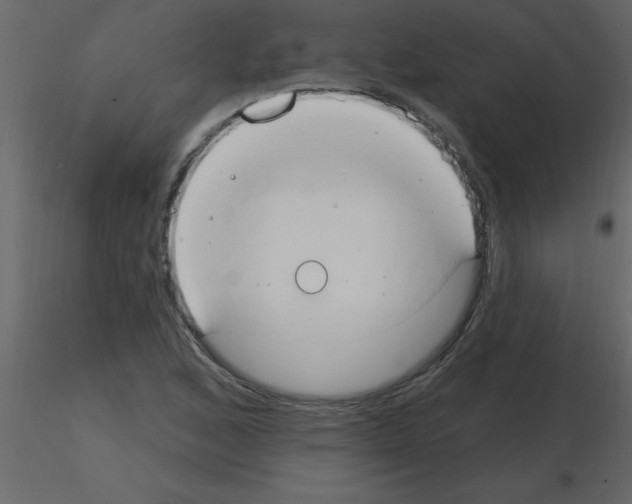 X0000115791168200912241825