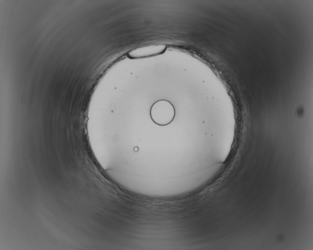 X0000115791169200912241825