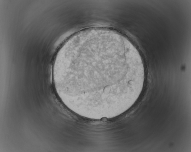 X0000115791171200912241825