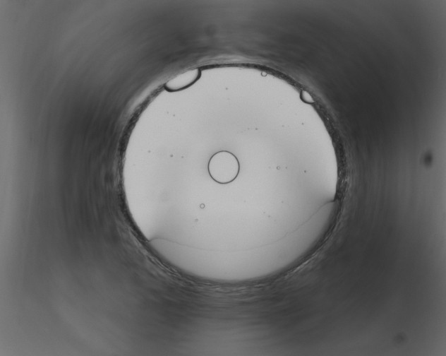 X0000115791173200912241825