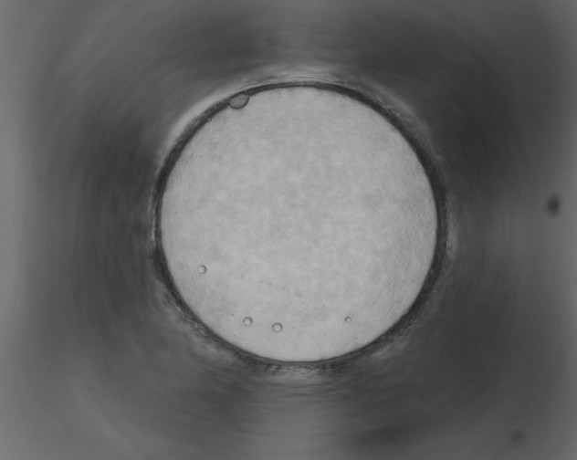 X0000115791174200912241825