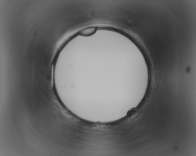 X0000115791175200912241825