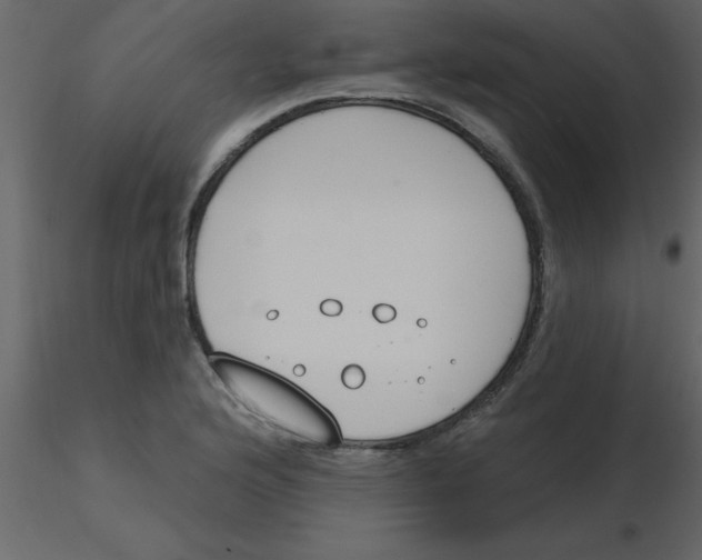 X0000115791176200912241825