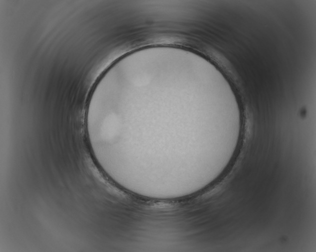 X0000115791178200912241825